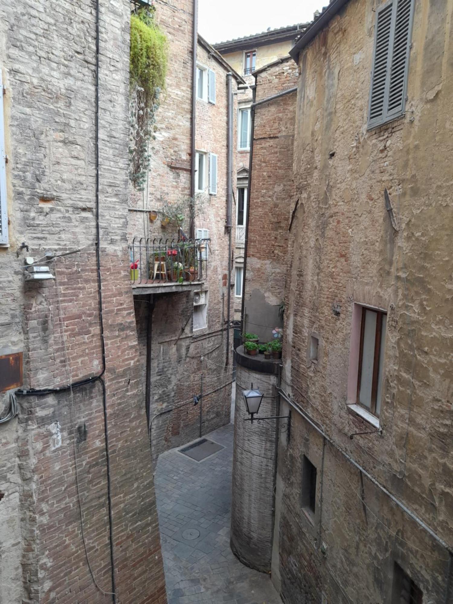Il Corso
